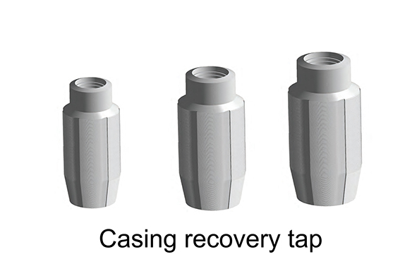 BW CASING RECOVERY TAP OVERVIEW.jpg